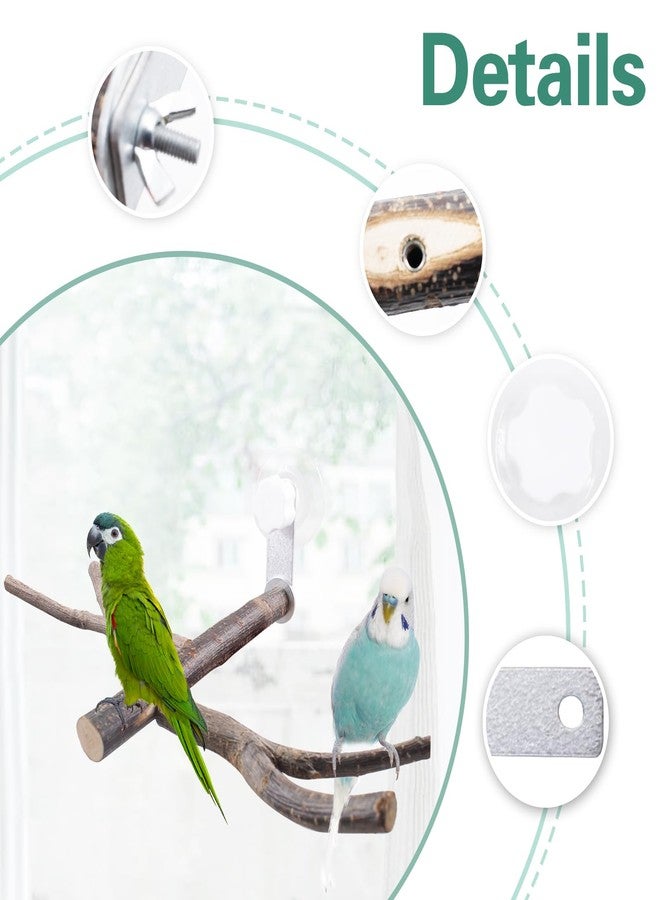 SnowTing Shower Perch Platform with Suction Cups for Bird, Small and Medium Bird Parrot Parakeet African Grey Window Wall Bath Stand Wood Window Perch (Two-Y-Type) - Image 3