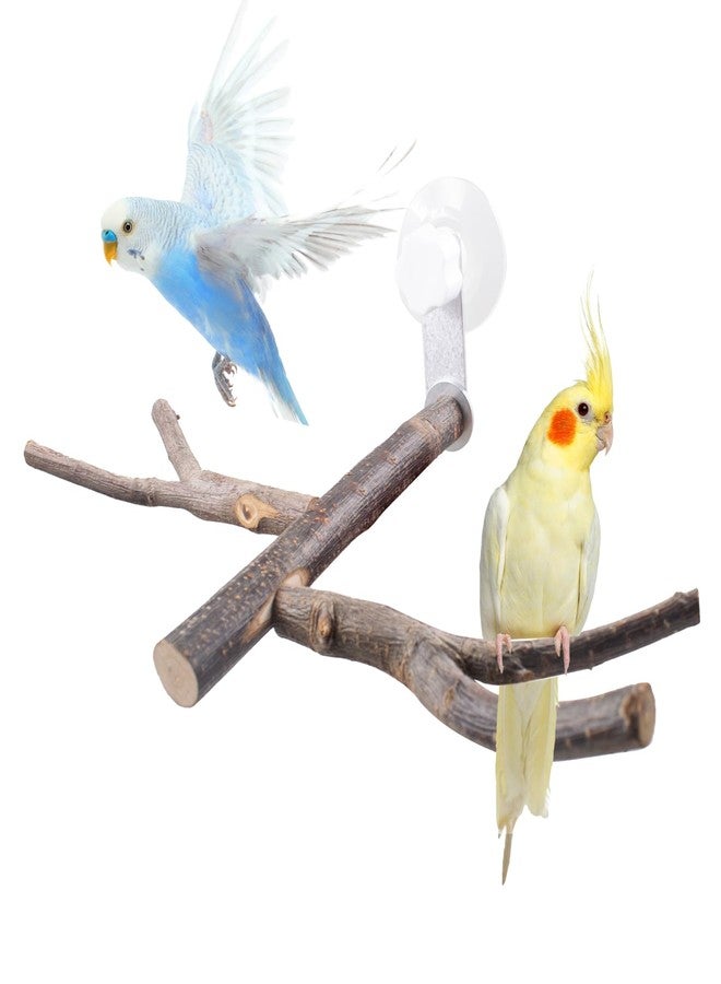 SnowTing Shower Perch Platform with Suction Cups for Bird, Small and Medium Bird Parrot Parakeet African Grey Window Wall Bath Stand Wood Window Perch (Two-Y-Type) - Image 1