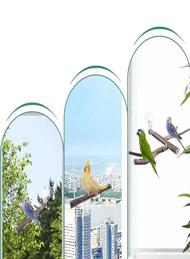SnowTing Shower Perch Platform with Suction Cups for Bird, Small and Medium Bird Parrot Parakeet African Grey Window Wall Bath Stand Wood Window Perch (Two-Y-Type) - Image 4