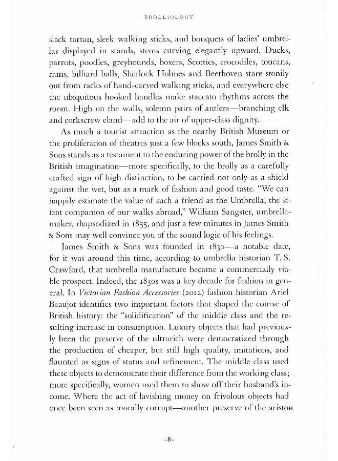 Brolliology - Image 5