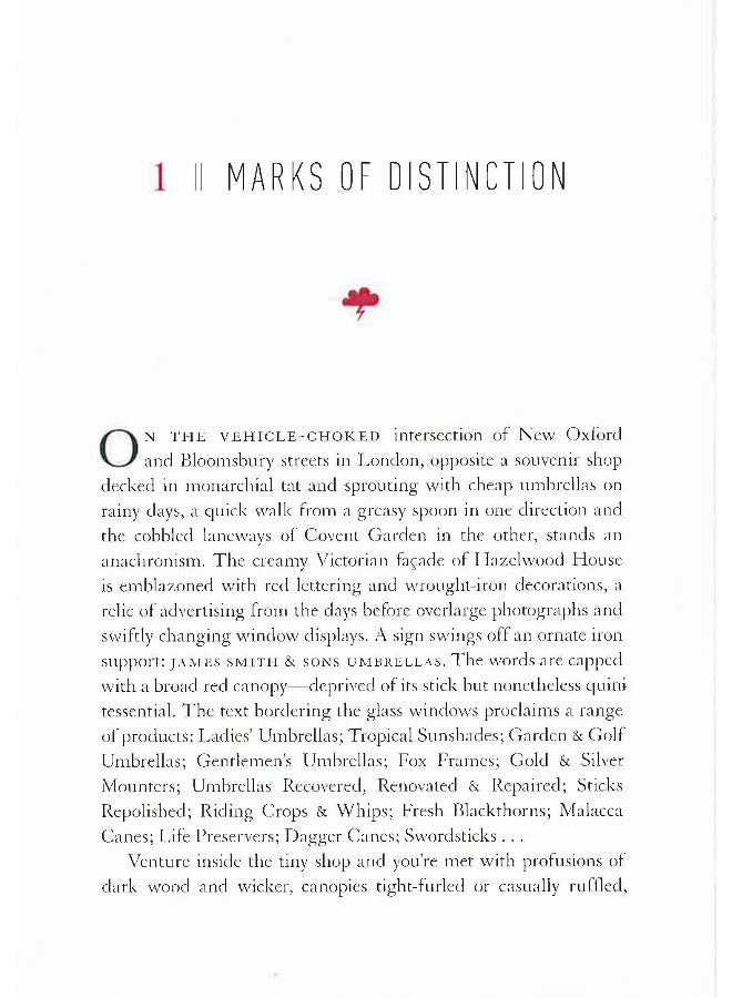 Brolliology - Image 4