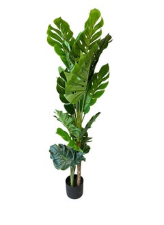 Garden Oasis Landscaping Monstera Deliciosa Faux Real Touch High Simulation Artificial Tropical (Swiss Cheese) Plant Home and Floor Décor , 160 cm  - Image 1