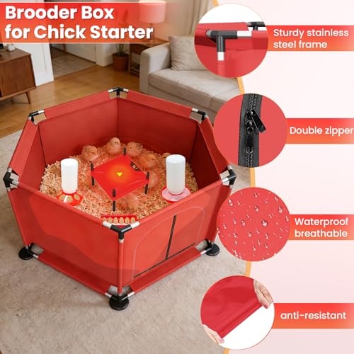 Kweetle Brooder Box for Chicks, 8-in-1 Chick Heat Plate Starter Kit, Baby Chicken Brooder Pen with Feeder, Waterer, Perch & Bedding, Indoor Poultry Setup (Red) - Image 4