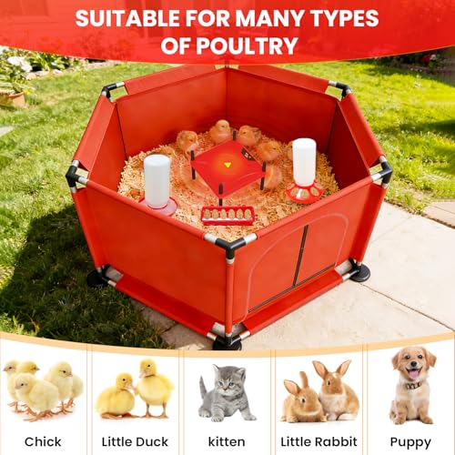 Kweetle Brooder Box for Chicks, 8-in-1 Chick Heat Plate Starter Kit, Baby Chicken Brooder Pen with Feeder, Waterer, Perch & Bedding, Indoor Poultry Setup (Red) - Image 5