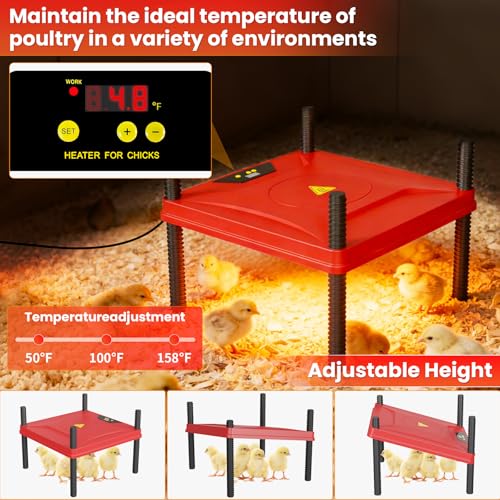 Kweetle Brooder Box for Chicks, 8-in-1 Chick Heat Plate Starter Kit, Baby Chicken Brooder Pen with Feeder, Waterer, Perch & Bedding, Indoor Poultry Setup (Red) - Image 2