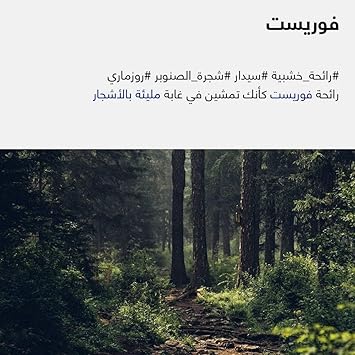 SH!FT Vitamin C Shower Filter Forest Scent with Botanical Hair and Skin Care Easy Installation Fits Most Showers Leak Free Compact Design Easy Installation Fits Most Showers - Image 4