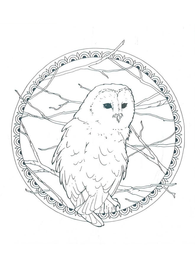 كتاب تلوين الطبيعة الجميلة - Image 4