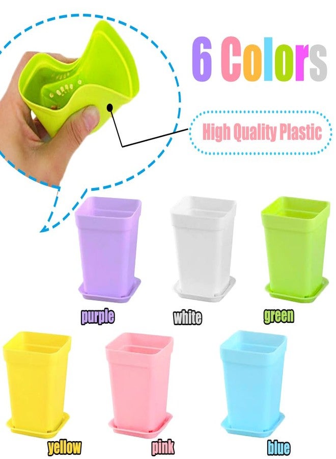Haawooky 24 Pack Colorful Flower Pots Square Plastic Plant Pots Succulent Planter Nursery Pots with Saucers for Your Room,Garden Office and Balcony Decor - Image 3