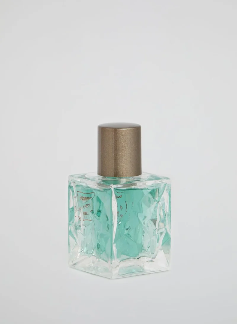 ICEBERG Burning Ice Eau de Toilette, 50ml