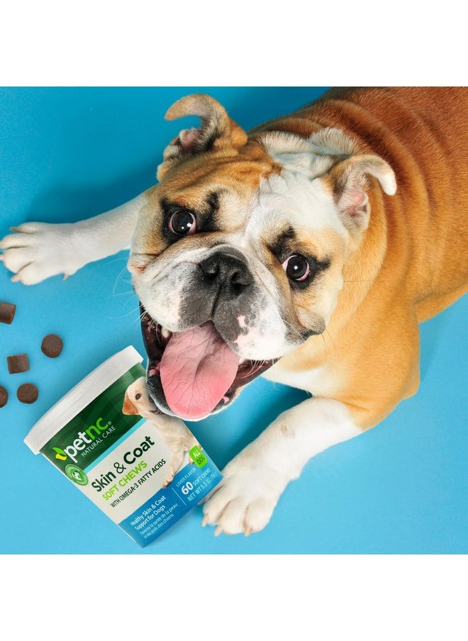 petnc NATURAL CARE - PetNC Natural Care Skin and Coat Soft Chews for Dogs, 60 Count - Image 1