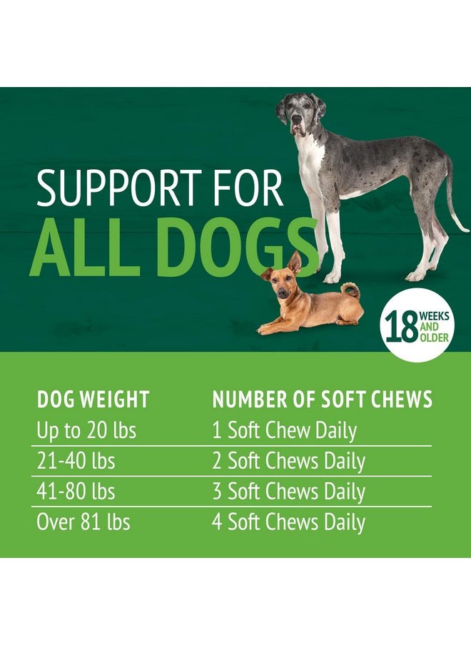 petnc NATURAL CARE - PetNC Natural Care Skin and Coat Soft Chews for Dogs, 60 Count - Image 1