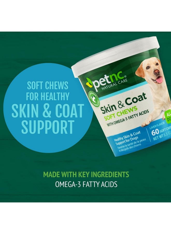 petnc NATURAL CARE - PetNC Natural Care Skin and Coat Soft Chews for Dogs, 60 Count - Image 1
