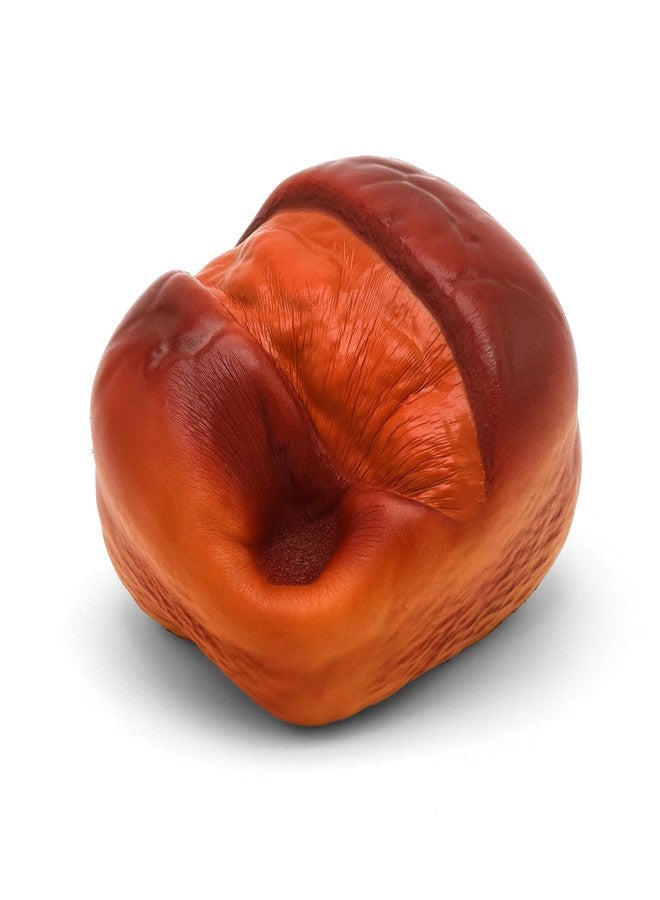 Kiibru Cracked Bread Squishy Jumbo Bread Scented Stressrelief Fidget Squishies Toy Collection (Chocolate) - Image 4