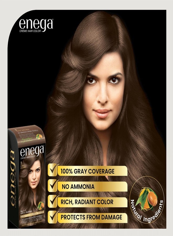 Enega No Ammonia Grey Coverage Long Lasting Creme Hair Color with Argan Oil & Green Tea Extract - Pack of 1(150 ML) (Dark Brown) - Image 2