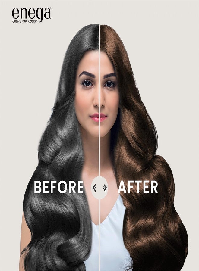 Enega No Ammonia Grey Coverage Long Lasting Creme Hair Color with Argan Oil & Green Tea Extract - Pack of 1(150 ML) (Dark Brown) - Image 5