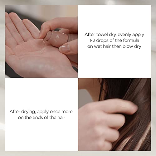 AYUNCHE Enhancing Silky Hair Oil 3.3 fl. oz. (100ml) [For Dyed & Damaged Hair] | Deeply Nourish and Soften Hair without Stickiness | Nourishing Hair Oil | Korean Salon Brand - Image 5