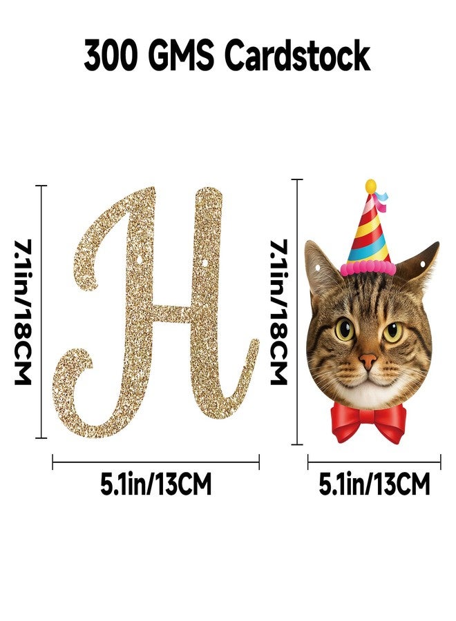 Alynta Cat Happy Birthday Banner Pre-Strung Cat Birthday Party Decorations NO DIY Gold Glitter Happy Birthday Sign Hanging Swirls for Women Men Birthday Party Supplies - Image 2
