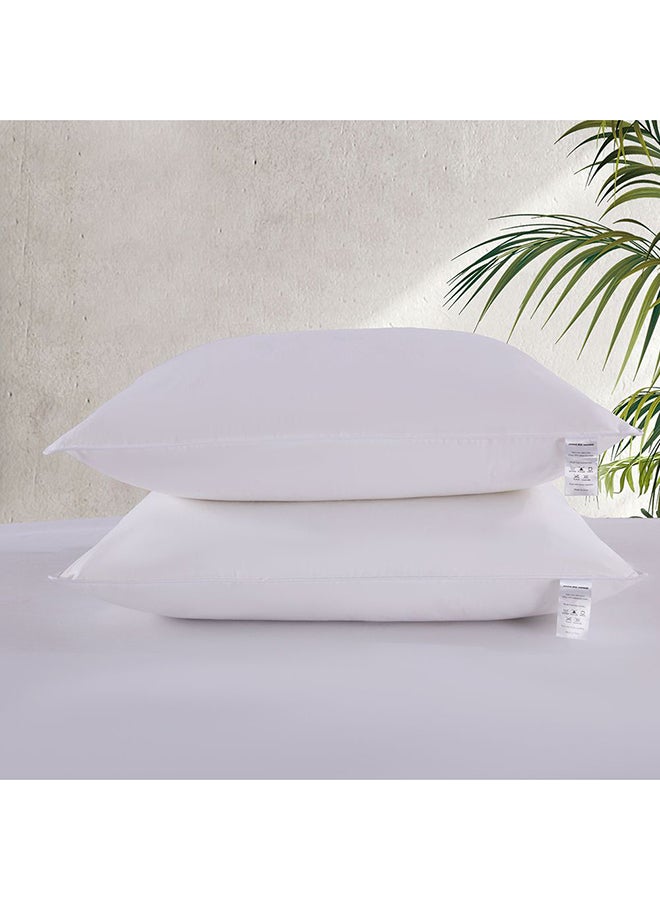 دانوب هوم وسائد ريش البط المتقدمة من دانوب هوم، قطعتان،  سم، أبيض - Image 1