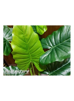 Generic Artificial Spring Rain Leaf Plant 90cm Home Decoration Indoor and Outdoor Artificial Large Plant Bonsai Suitable for Modern Office, Living Room, Home Decoration Gifts (with Flower Pots) (Extra large)  - Image 5