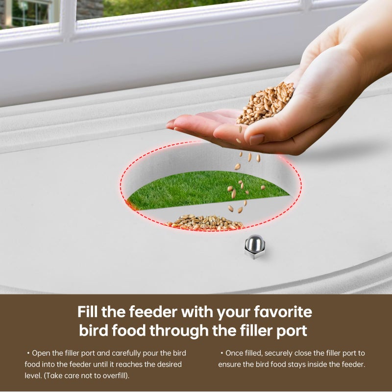 JOYSEUS Window Bird Feeder, 180Â° Clear View Bird Feeder, Durable and Elegant in-Window Bird Feeder for Watching Birds - Embrace The Delight of Bird Feeder. - Image 5