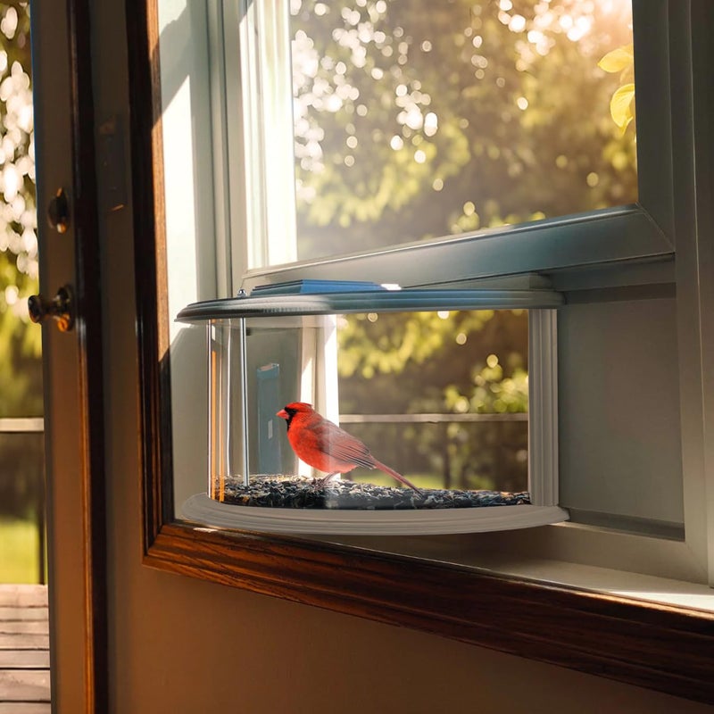 JOYSEUS Window Bird Feeder, 180Â° Clear View Bird Feeder, Durable and Elegant in-Window Bird Feeder for Watching Birds - Embrace The Delight of Bird Feeder. - Image 2