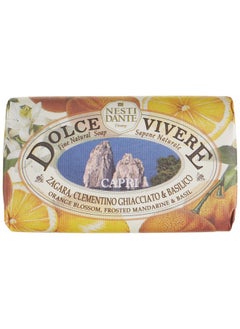 Dolce Vivere Capri Bar Soap 250 Grams - pzsku/Z56B91232AEC21A701E0EZ/45/_/1720000101/b66e3625-26ea-455e-95e4-8c0cc3707121