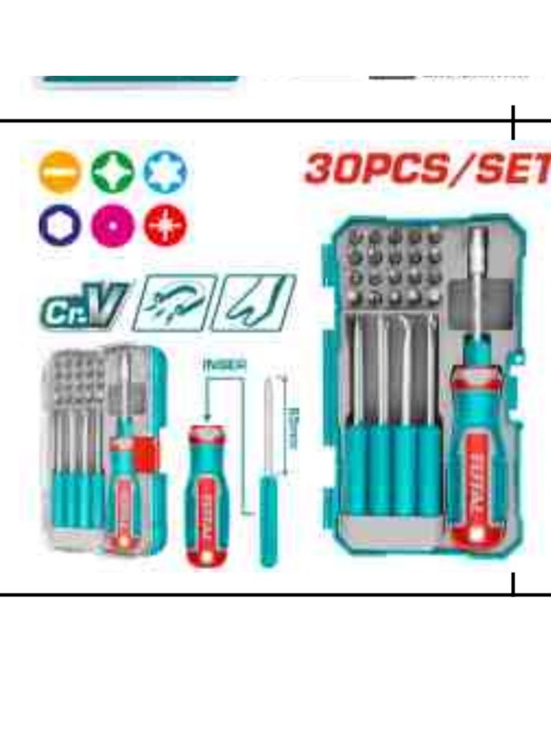TOTAL - TOTAL 30PCS Interchangeable & Precision Screwdriver Bit Set - Cr-V Steel, Includes Slotted, Phillips, Torx & Hex Bits, Tack Remover, Scratch Awl, 1/4" Bits Holder & Unique Handle, TACSD30306 - Image 1
