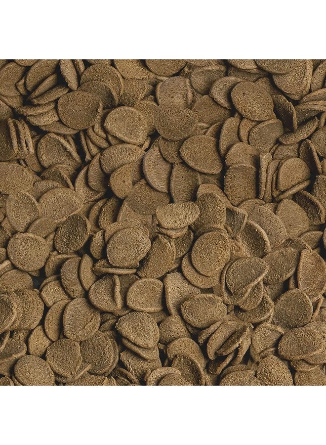 سيرا فيباتشيبس 1 علبة طعام السمك، 1.3 أونصة/100 مل - Image 5