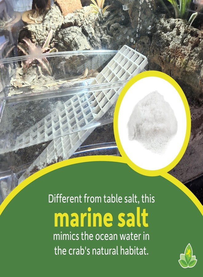 Josh's Frogs Hermit Crab Marine Salt and Scooper (Makes 8 gallons of Salt Water) - Image 4