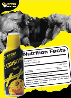 Body Builder L Carnitine 5000 Tropical Flavour 500ml  - Image 2