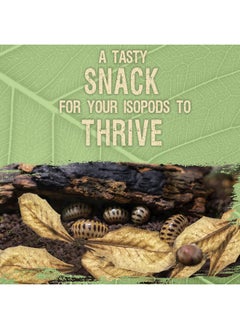 SunGrow 50 Pack Leaf Litter For Spider, Cricket & Isopod, Mini Catappa Dried Indian Almond Leaves, For Vivarium, Terrarium & Aquarium, Mimics Familiar Habitat & Perfect Hiding Spot, Terrarium Decor  - Image 3