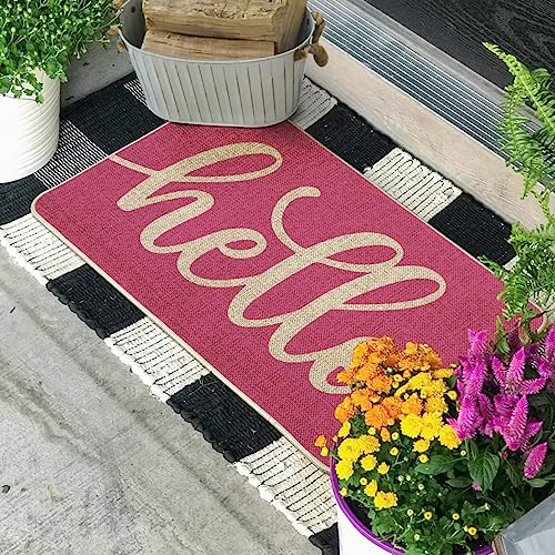 Artoid Mode Pink Hello Spring Doormat Summer Home Decor LowProfile Switch Rug Door Mat Floor Mat for Indoor Outdoor 17x29 Inch - Image 3