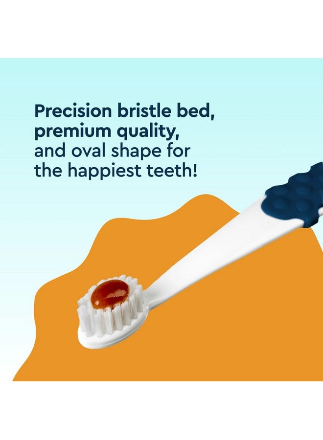 Radius USDA Organic Dental Solutions All Ages Dog Dental Kit 1 Unit, 1 Dog Toothbrush, 1 0.8oz Toothpaste, & 1 Travel Case, Firm Bristle & Non Toxic Toothpaste for Dogs - Image 3