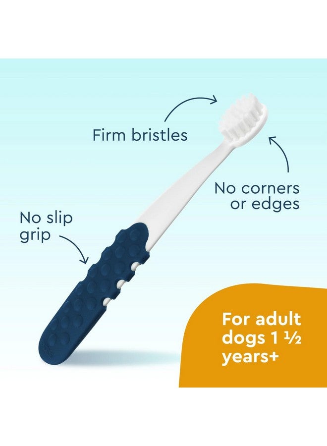 Radius USDA Organic Dental Solutions All Ages Dog Dental Kit 1 Unit, 1 Dog Toothbrush, 1 0.8oz Toothpaste, & 1 Travel Case, Firm Bristle & Non Toxic Toothpaste for Dogs - Image 4