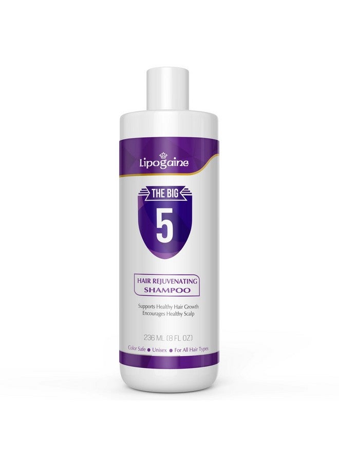 Lipogaine Big 5 Hair Stimulating Shampoo For Hair Thinning & Breakage For All Hair Types Men And Women Infused With Biotin Caffeine Argan Oil Castor Oil And Saw Palmetto (Purple) - Image 1