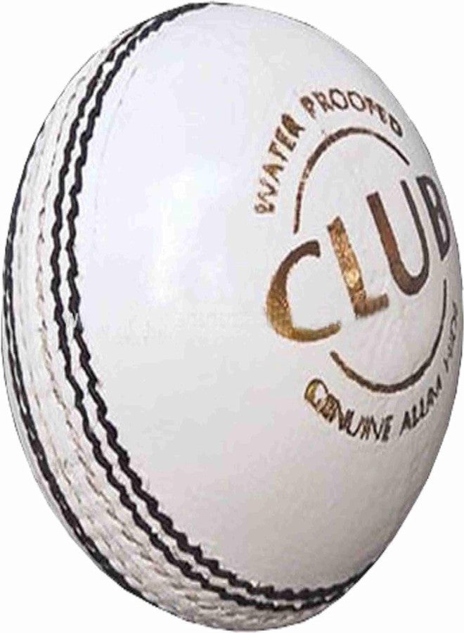 LABH TRADERS Power Skyline Hand Stitched 2 Piece Sports Cricket Club Leather Balls for T-20, One Day and Test Match (White) (Pack of 2) - Image 5