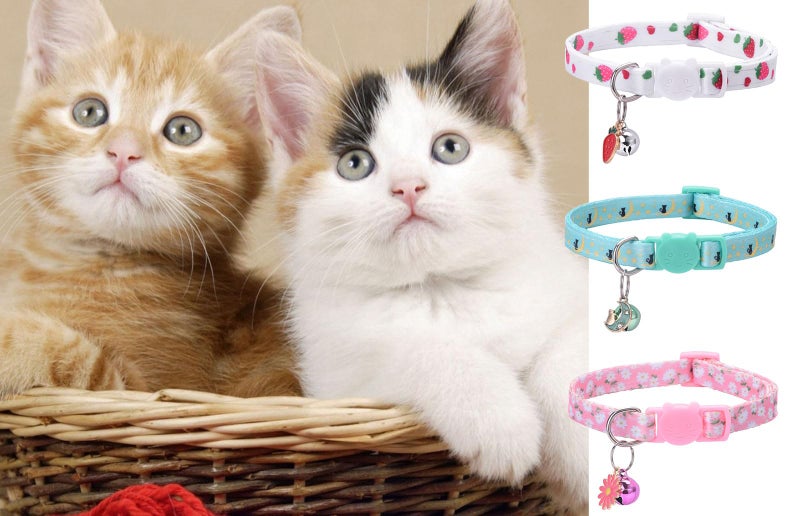 DALOO 10PC Floral Cat Collar Set with Bells - Breakaway Safety for Kittens and Small Cats (#2) - Image 4