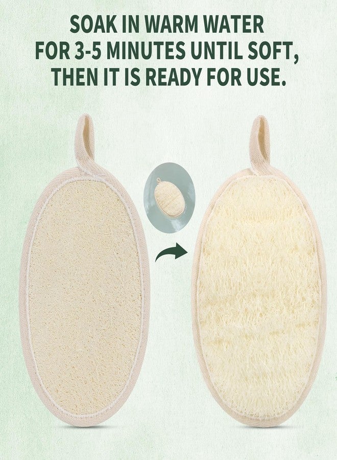 SAMEBUTECO 4 Pack Natural Loofah Exfoliating Body Scrubber Pads,Large Size 7.3x4.3 Inch Shower Loofah Sponges with Elastic Strap & Hanging Loop, Bath Scrubber for Men and Women - Image 3