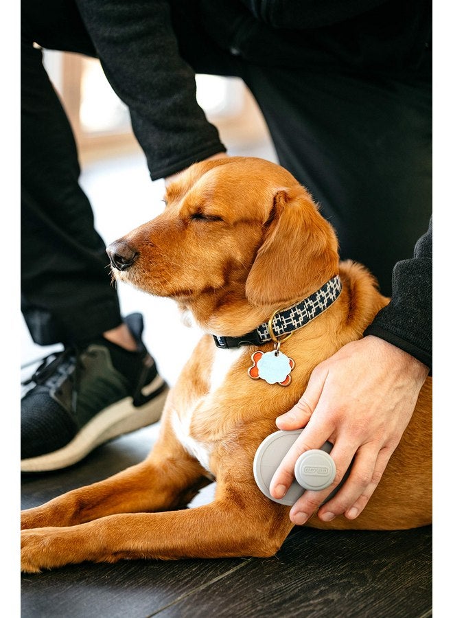 Dexas BrushBuster Silicone Gentle Dog Grooming and Massage Brush, Light Gray - Image 4