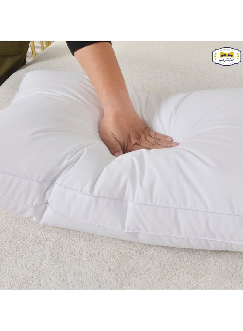 Brides 2/ Hotel pillow, 100% cotton cloud, from the Bridal Palace, first class, size 75 x 50 cm, weight 1200 grams / white - Image 2