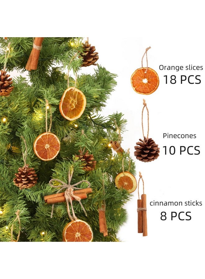 أورينتال شيري زينة عيد الميلاد - مجموعة من 36 قطعة من شرائح البرتقال الطبيعية والقرفة وأقماع الصنوبر مع شماعات من الجوت - زينة حرفية فريدة من نوعها بكميات كبيرة لشجرة عيد الميلاد - ديكور ريفي للعطلات في المنزل الريفي - Image 2