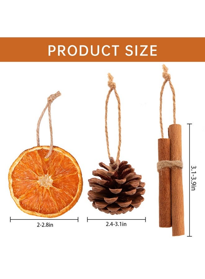 أورينتال شيري زينة عيد الميلاد - مجموعة من 36 قطعة من شرائح البرتقال الطبيعية والقرفة وأقماع الصنوبر مع شماعات من الجوت - زينة حرفية فريدة من نوعها بكميات كبيرة لشجرة عيد الميلاد - ديكور ريفي للعطلات في المنزل الريفي - Image 3