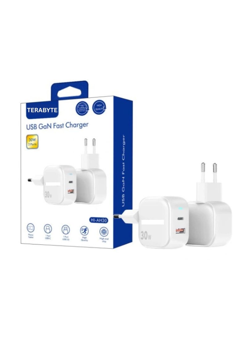 Terabyte USB GaN Fast Charger 30W 2ports - Image 1