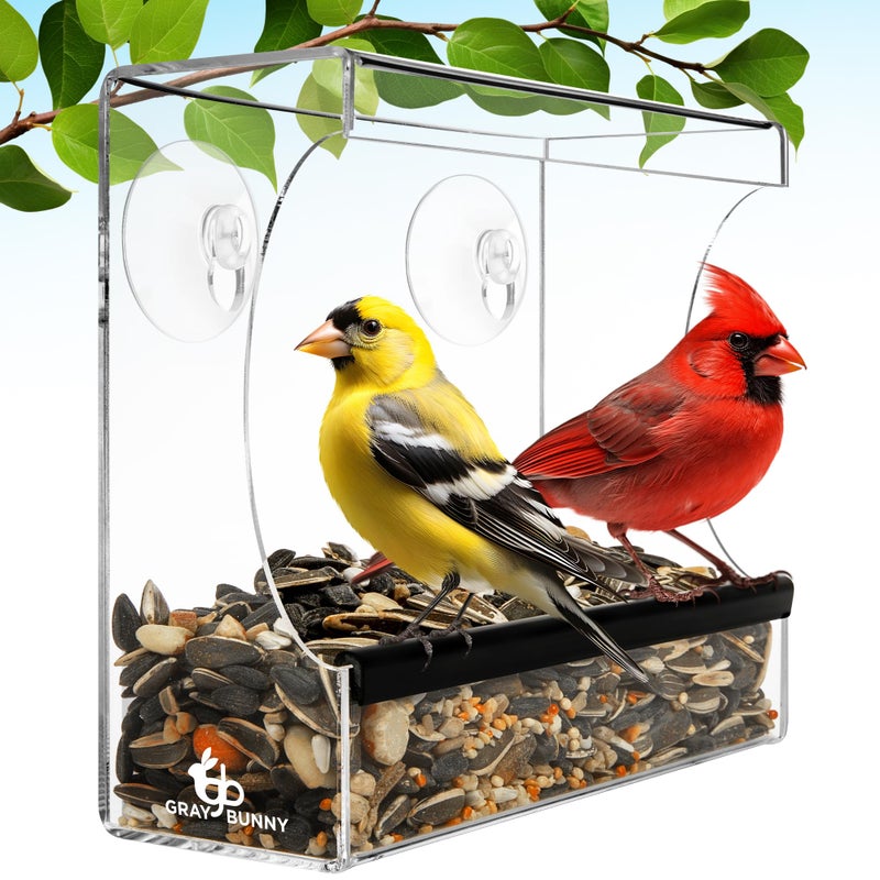 Gray Bunny Clear Window Bird Feeder - Premium Bird Feeder for Outdoors with Strong Suction Cups with Drain Holes and Large Seed Capacity - Image 1