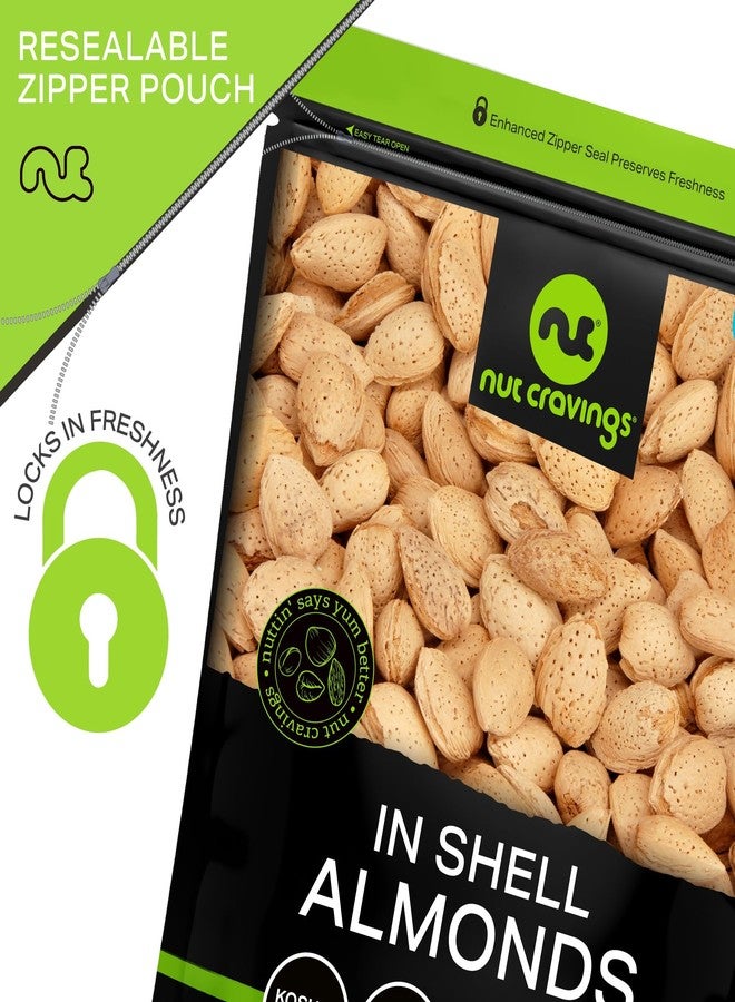 NUT CRAVINGS - In Shell Almonds - Raw, Whole, (16oz - 1 LB) Packed Fresh in Resealable Bag - Nut Snack - Food Assortments Ideal for Trail Mixed Nuts - Image 5