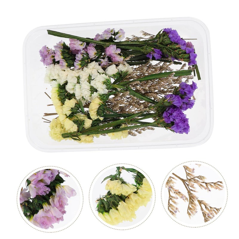 صندوق زينة الزهور المجففة للشموع العائمة مركز طاولة الزفاف DIY حرف الزهور الطبيعية - Image 5