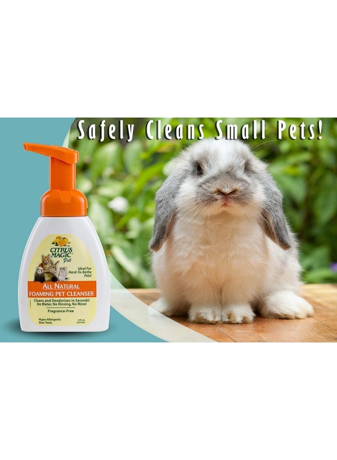 Citrus Magic Pet Rinse-Free Pet Shampoo, 8-Fluid Ounce - Image 2