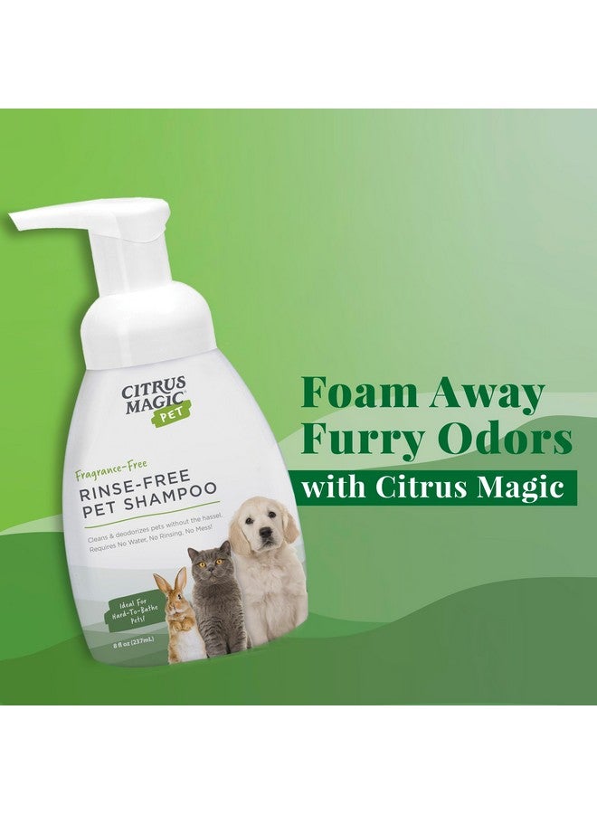 Citrus Magic Pet Rinse-Free Pet Shampoo, 8-Fluid Ounce - Image 3