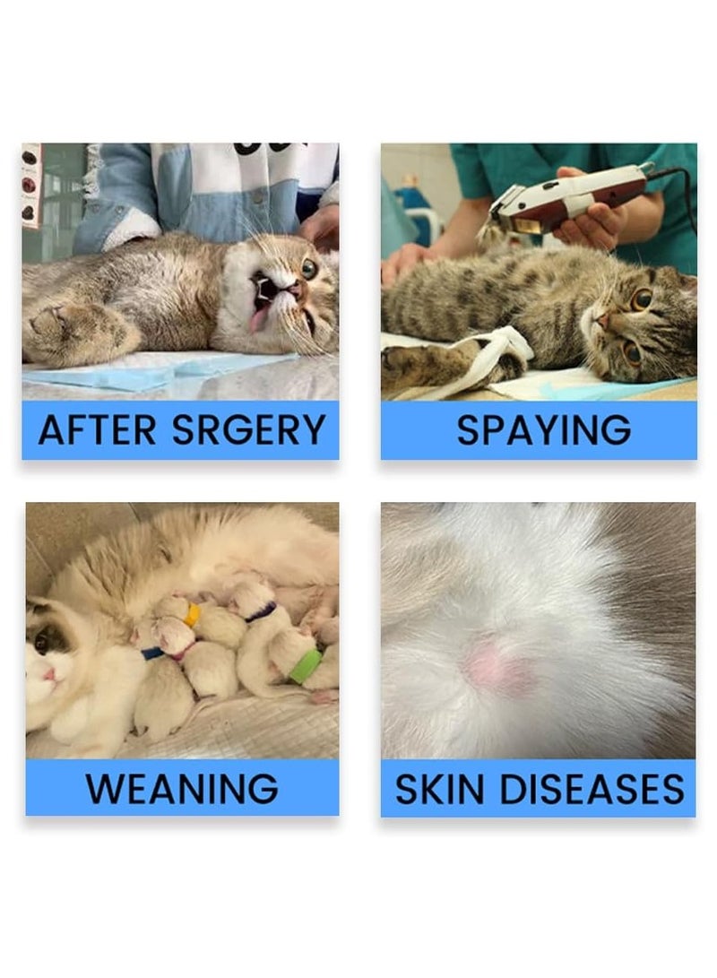 SYOSI بدلة استرداد 2 قطعة، قميص استرداد جراحة الكلاب والقطط المحترف، بدلة استرداد جراحة القطط، للقطط الذكور والإناث، بدلة للقطط بعد جراحة التعقيم، ملابس مضادة لعق الجروح (م) - Image 5