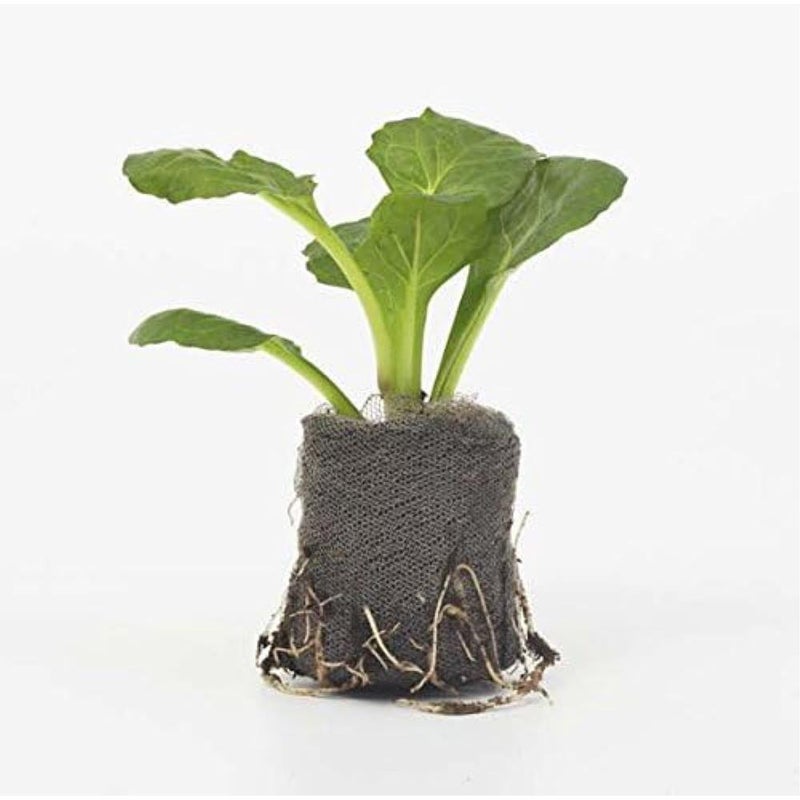 - Jiffy-7 50 x 24mm Propagation Plug Pellets (No Root Disturbance - Better Plant Survival) - Image 1